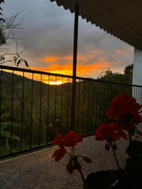 Cabaña flores en la colina